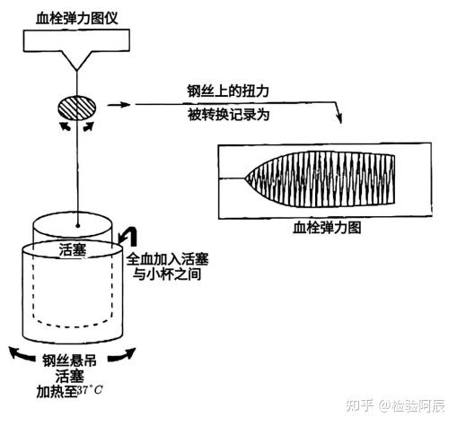 血栓弹力图各参数意义