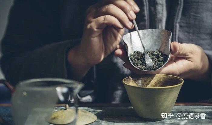 乌龙茶松柏长青茶