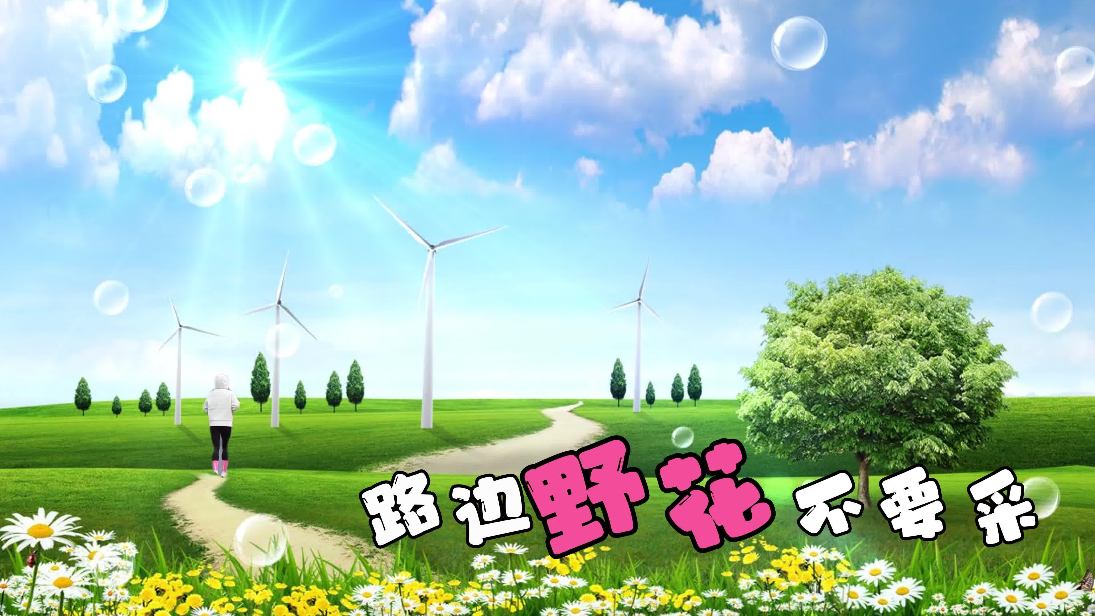 出门夫人有交代 路边野花不要采 - 知乎