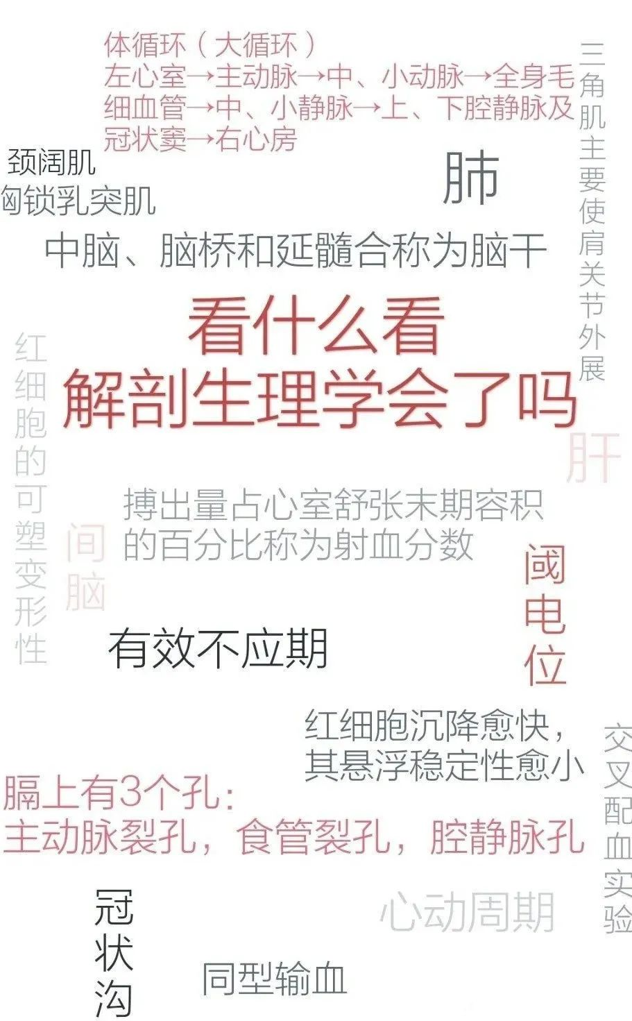 医学生的锁屏和手机壁纸长什么样