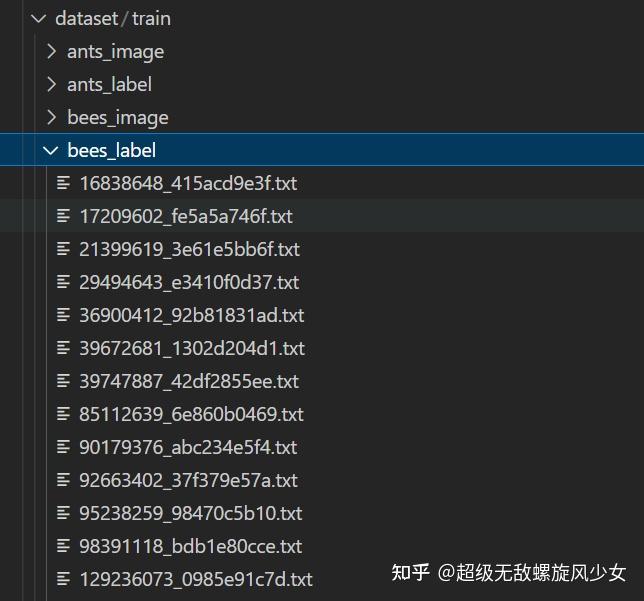 Pytorch Dataset Pytorch dataset