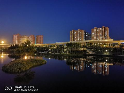 青海师范大学夜景图片