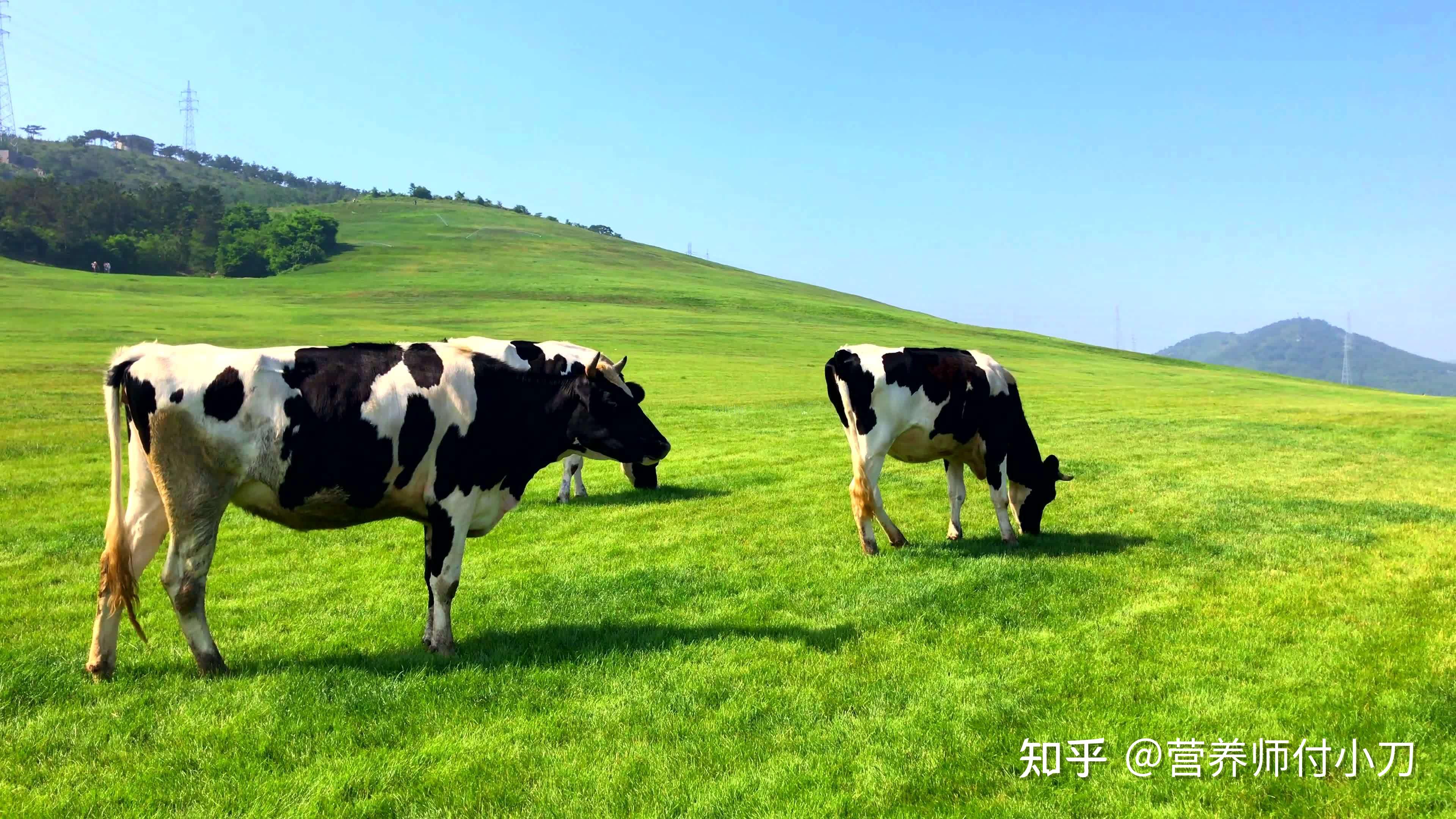 奶粉使用说明书先有好奶源才有好奶粉