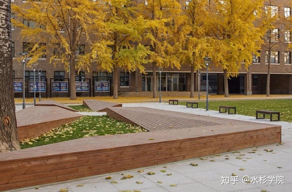 【水杉学院】专栏篇(三)校园绿地植物配置