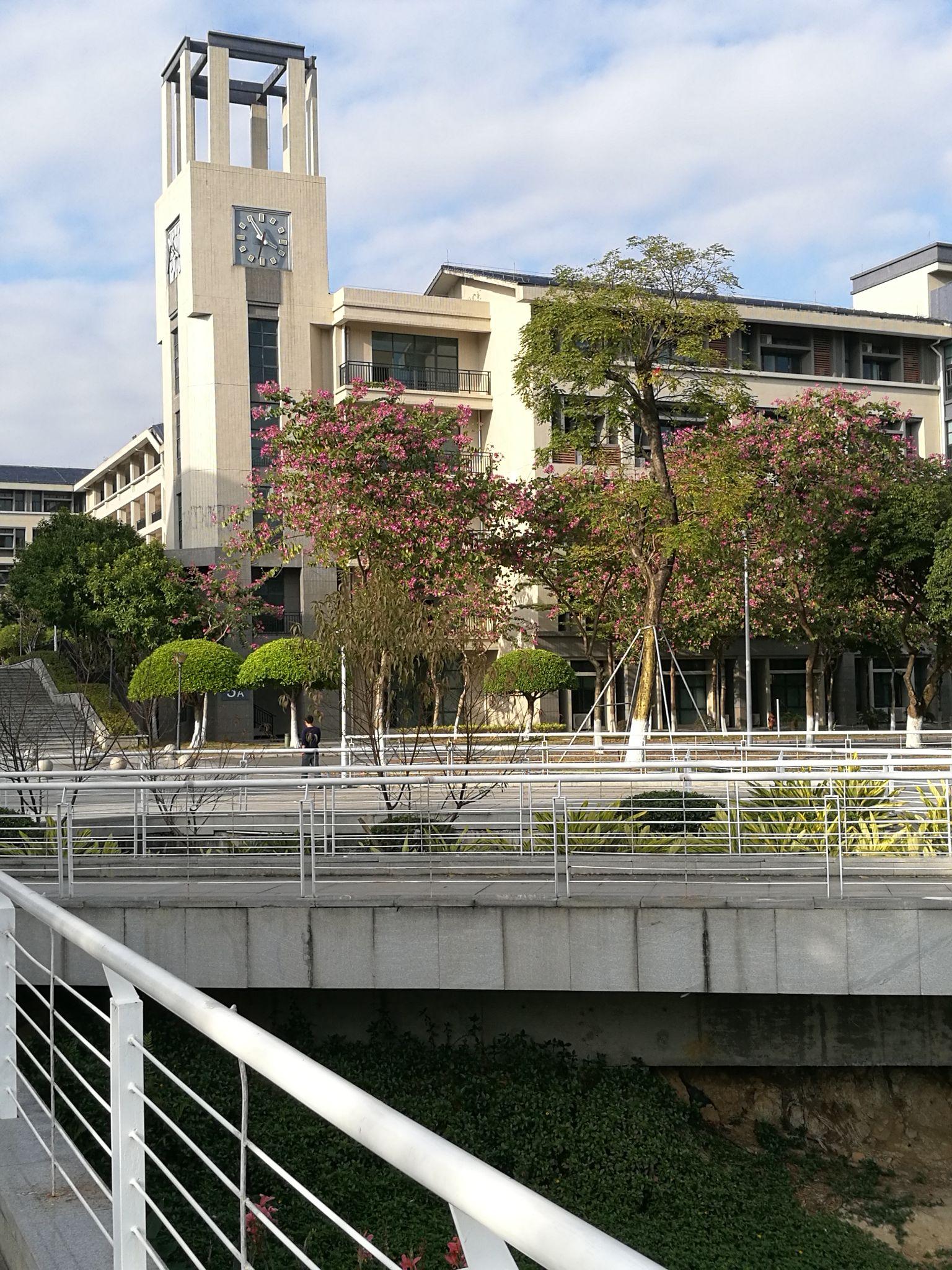 在东莞理工学院城市学院就读怎样的一番体验? - 知乎