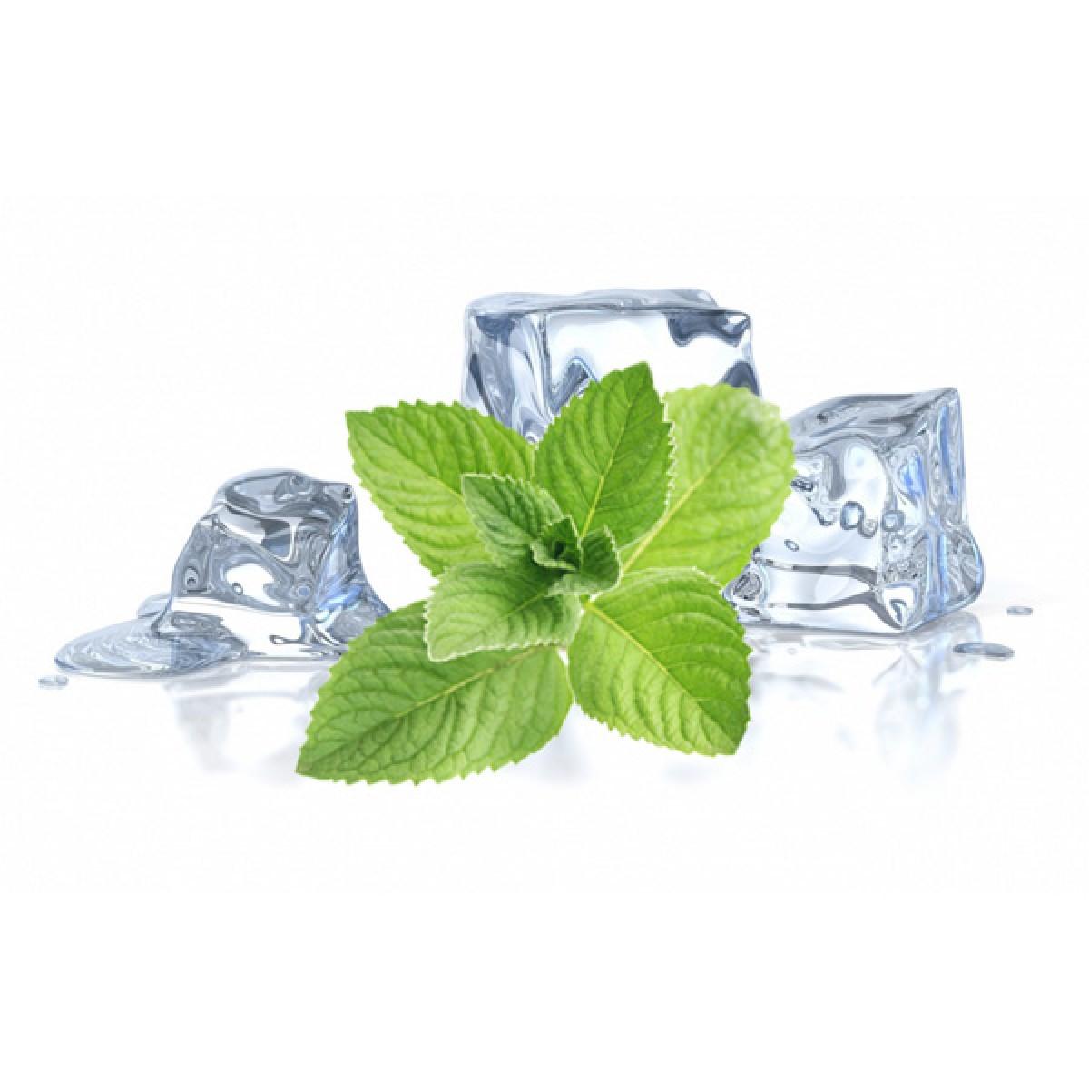 Menthol 薄荷醇与Mint 薄荷的区别 - 知乎