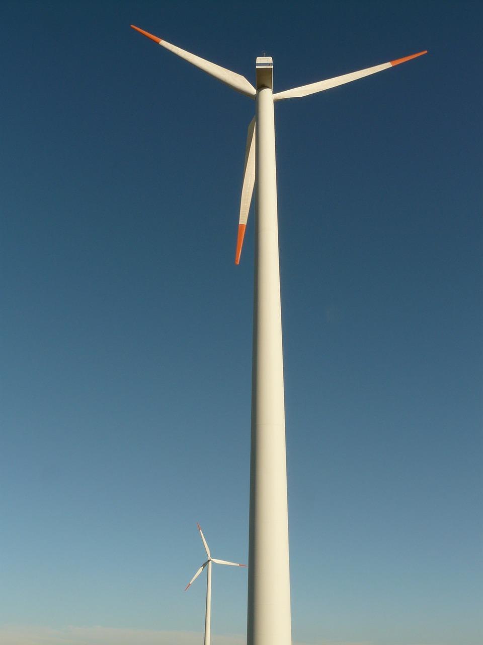 2. 防电植物品种