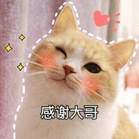 有点杂