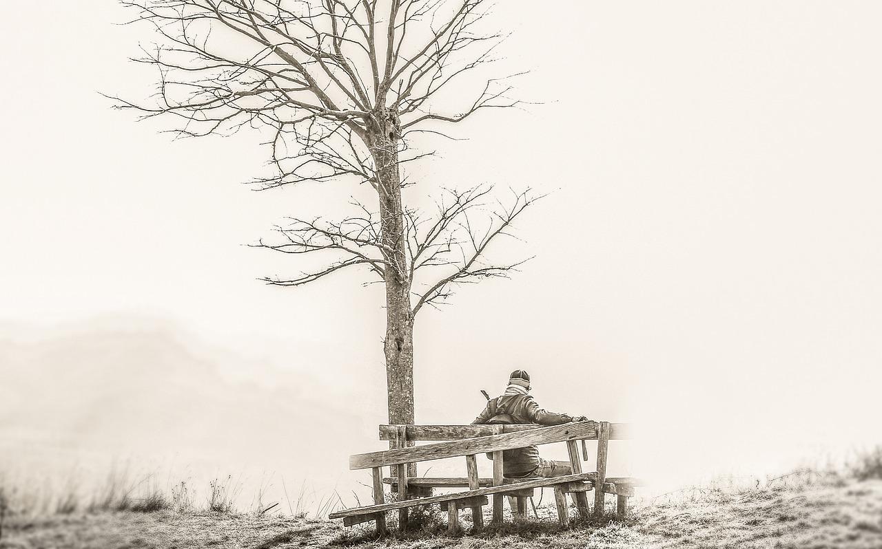 3. 树杆防腐处理