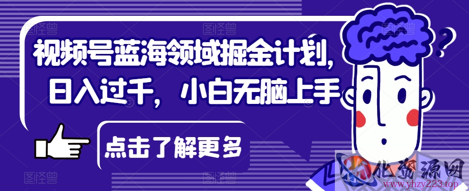 视频号蓝海领域掘金计划，日入过千，小白无脑上手【揭秘】