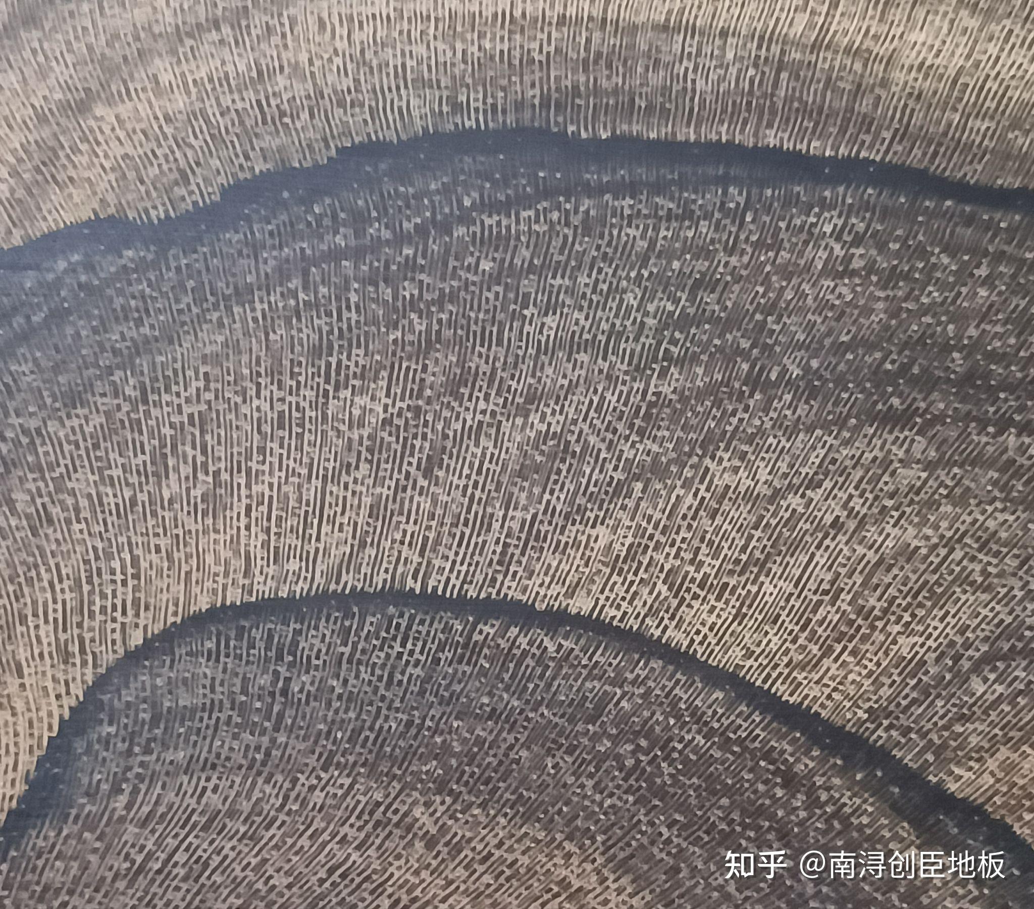 常见的木头类型有哪些？ - 知乎