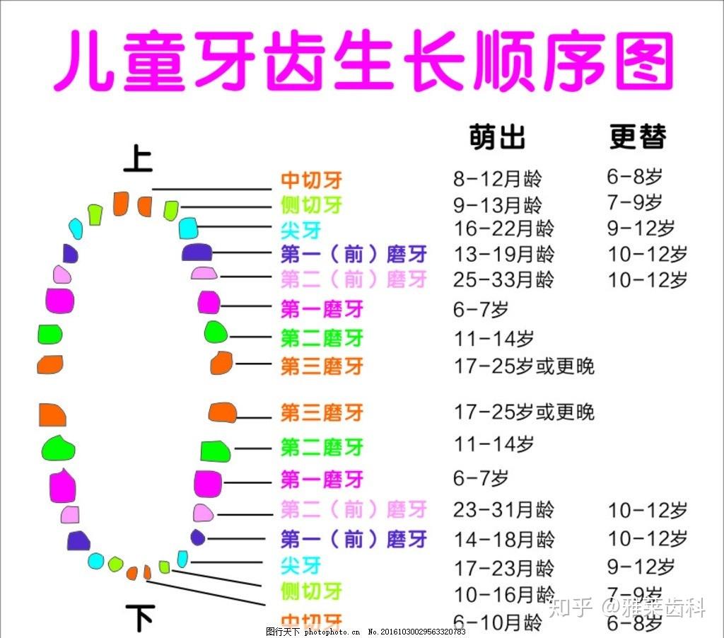 小孩换乳牙有没有顺序