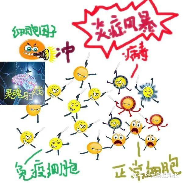 为什么人类的免疫系统几乎拥有所有病原体的特征库? - 知乎