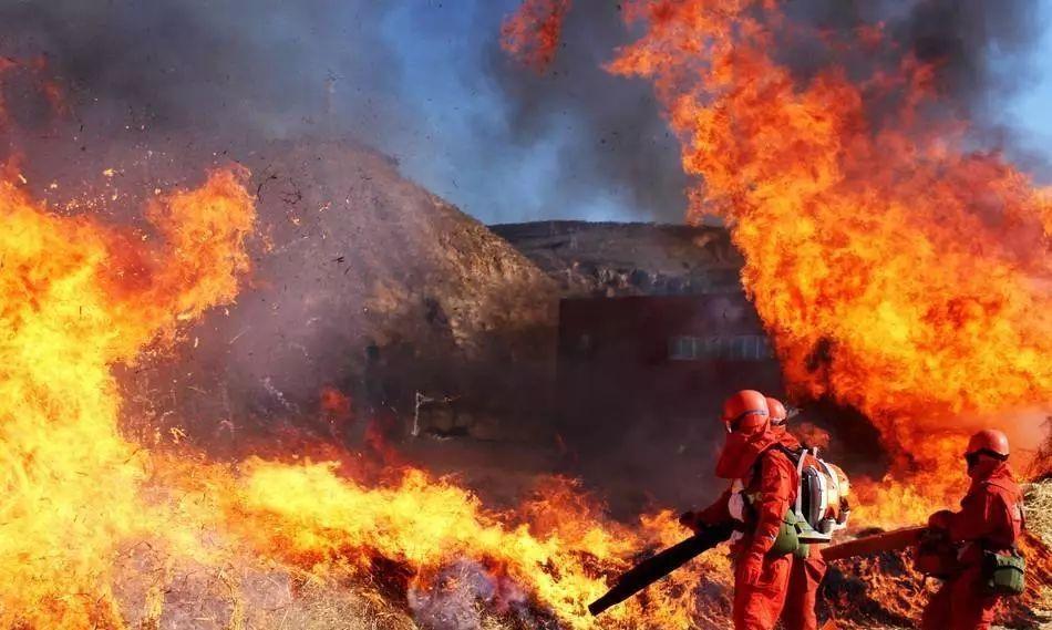 黑龍江省大興安嶺地區發生特大火災,事後追查起火最初原因是一位林場