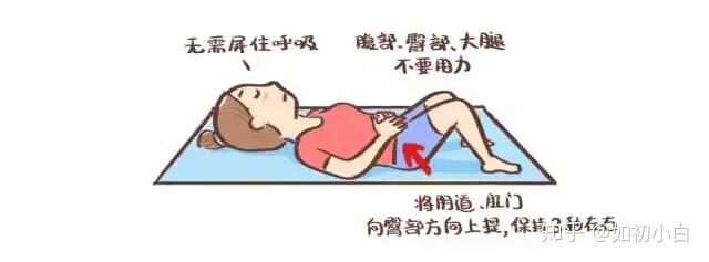 盆底肌训练有哪些