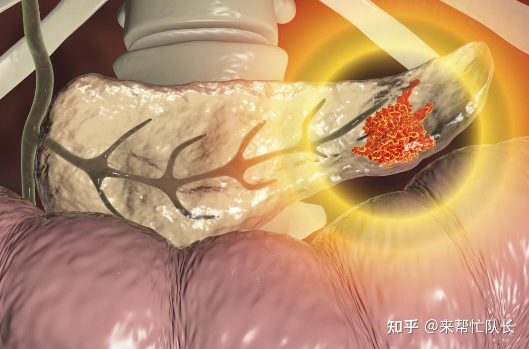 胰腺炎反射区的位置图图片