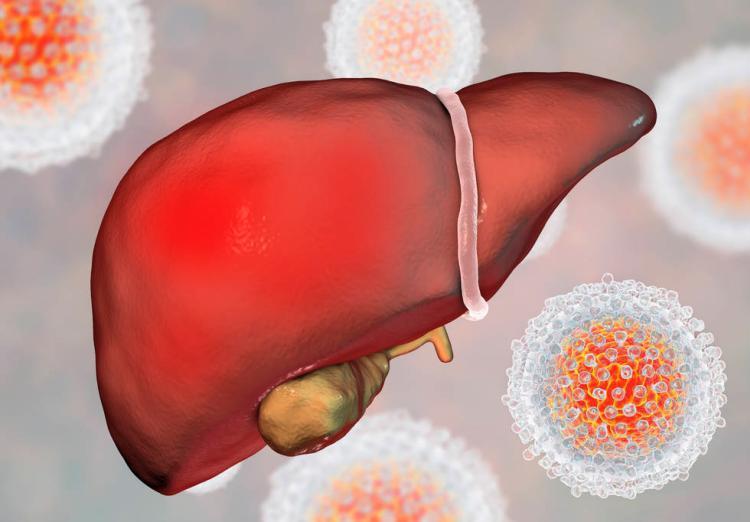 身上瘙痒是因为肝脏吗 v2-90bbf565b5954f4773802100f4226805_1440w.jpg?source=172ae18b