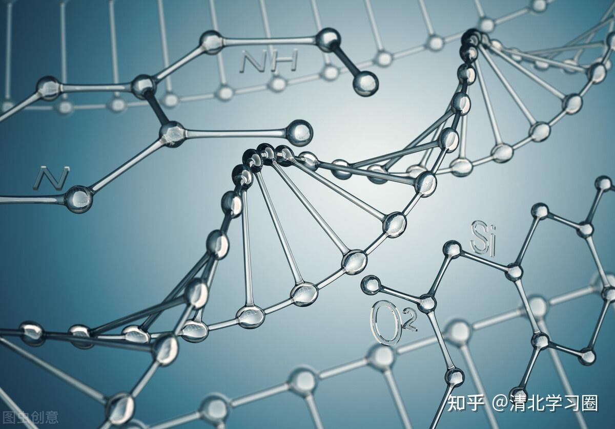 高中生物!四大題型答題方法彙總丨填空題不會的快看 - 知乎