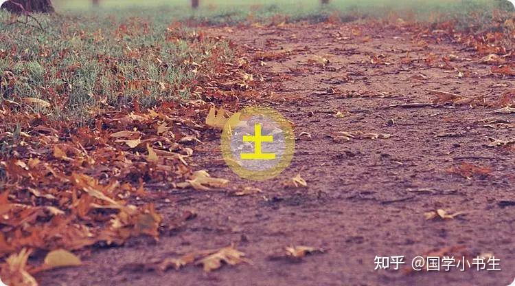 木火土金水代表五种性格,看看自己的五行? - 知乎