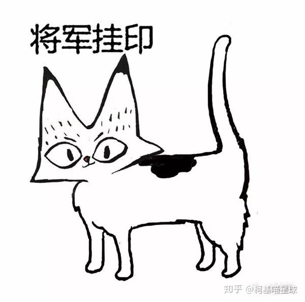 像这种通体纯白的猫,叫尺玉霄飞练.