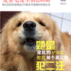 金毛犬知识库