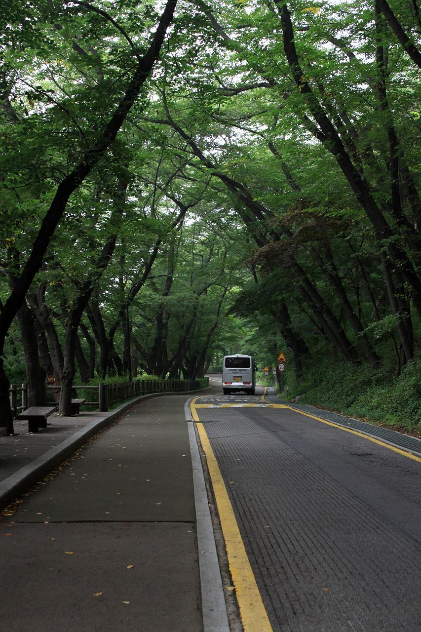 吉星小区公交信息