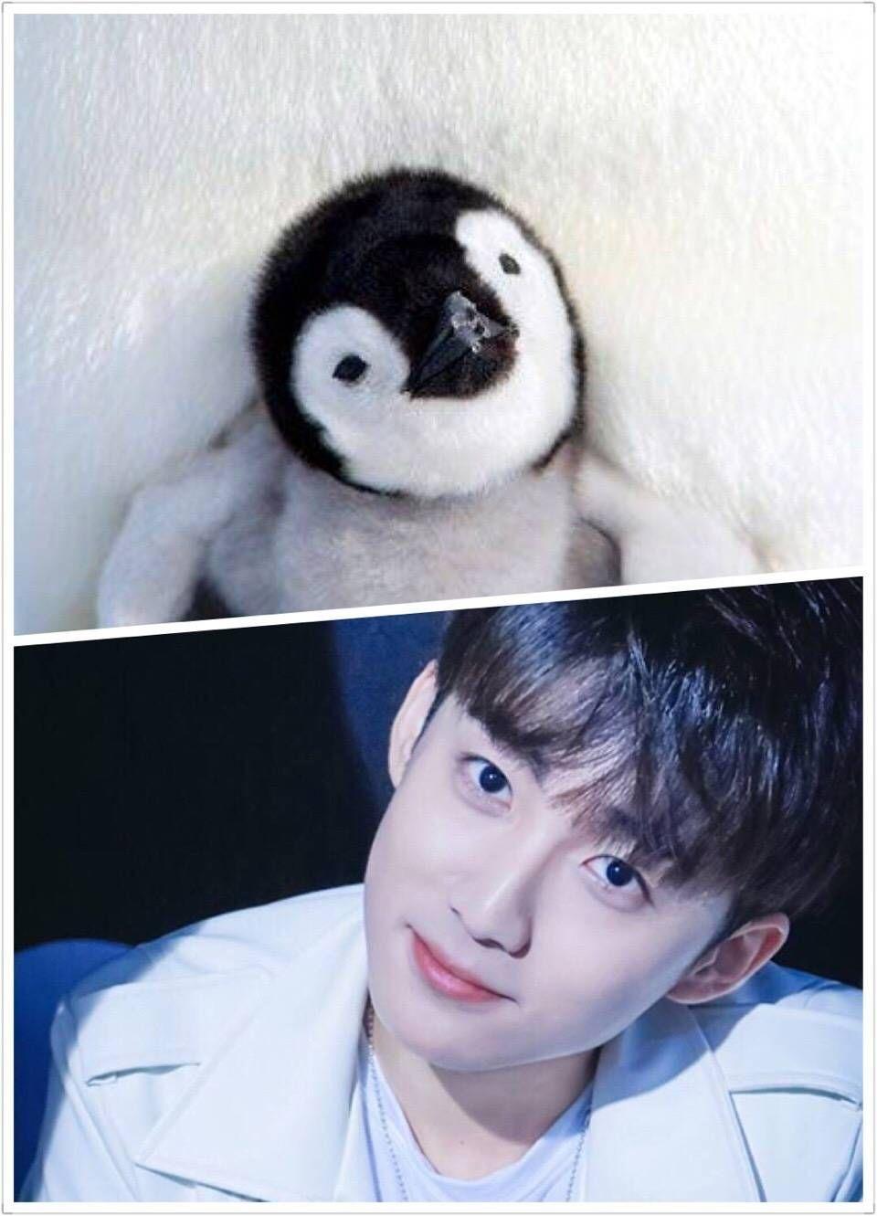 有没有人觉得翟潇闻在模仿郭子凡的路线