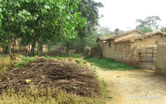 農村小夥奮鬥20年衣錦還鄉蓋新房用中式鄉墅留住鄉愁