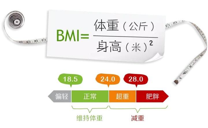 “胖友们”的庞大基数应该如何减肥?这三个步骤必须弄明白 - 知乎