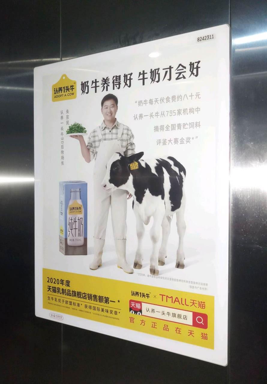 认养一头牛与它的长期主义养牛七年三年破圈