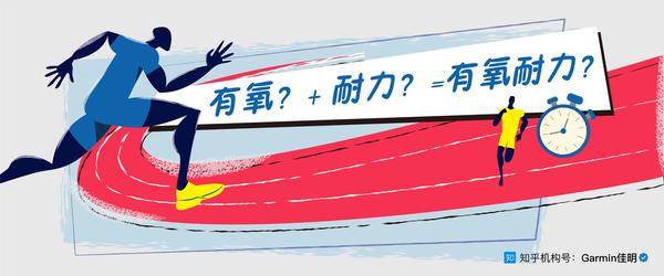 对耐力选手来说特别重要的有氧能力,到底指什么?