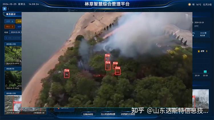数据中台：林业智慧监管的