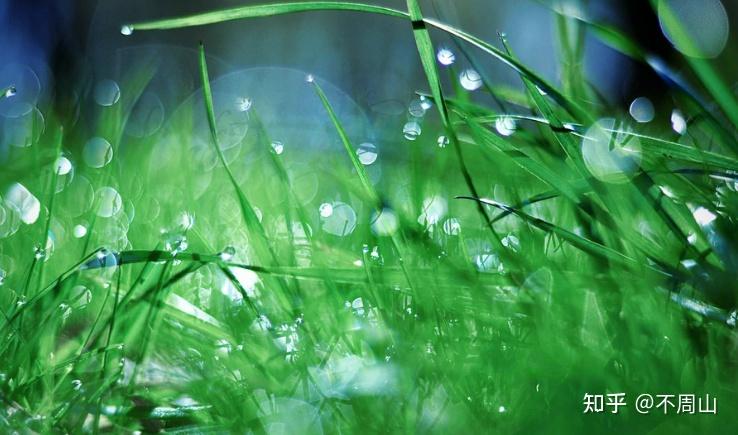 历史上的甘露是什么