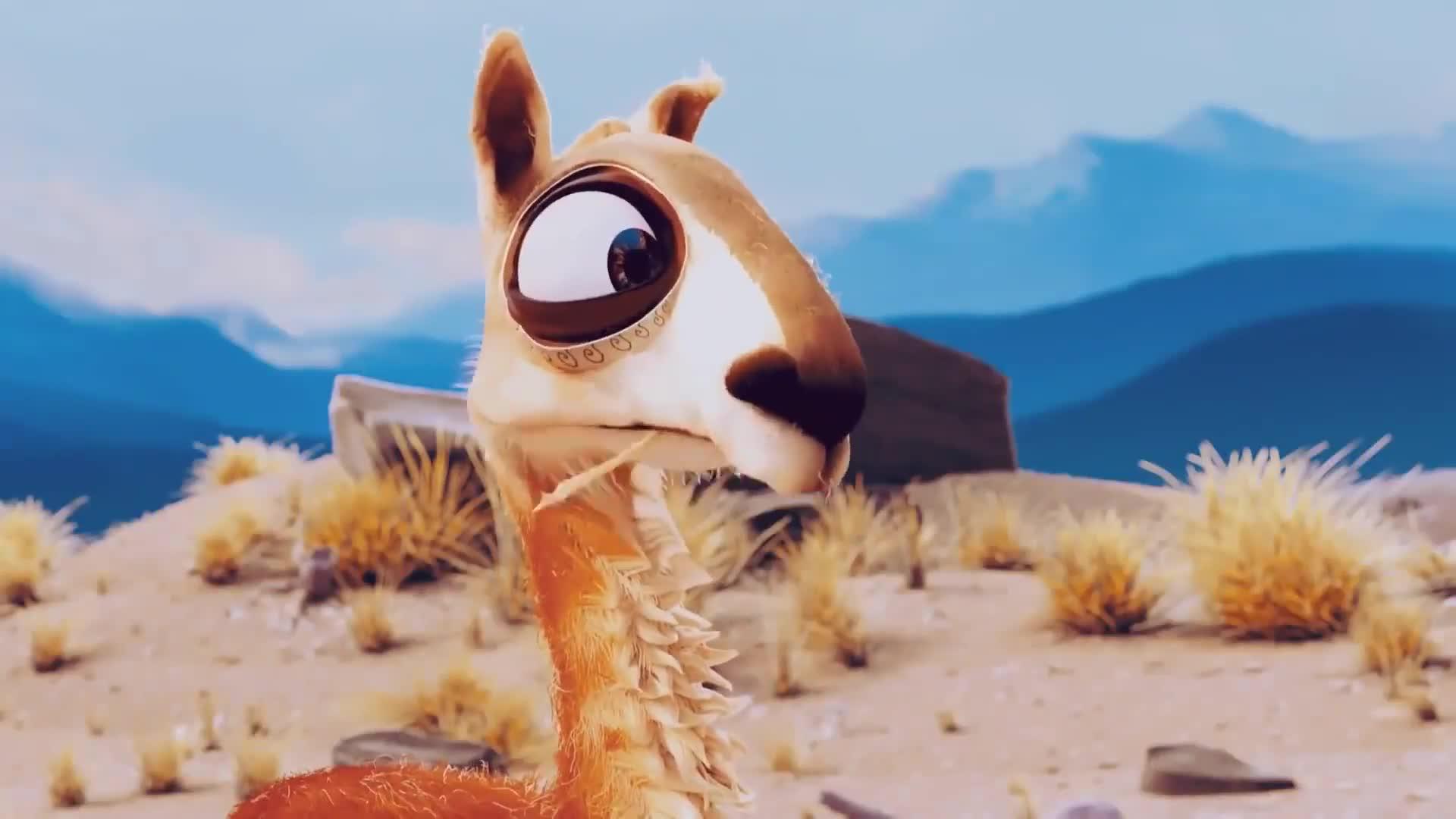 戴帽子的大羊驼,llamas with hats,#动画