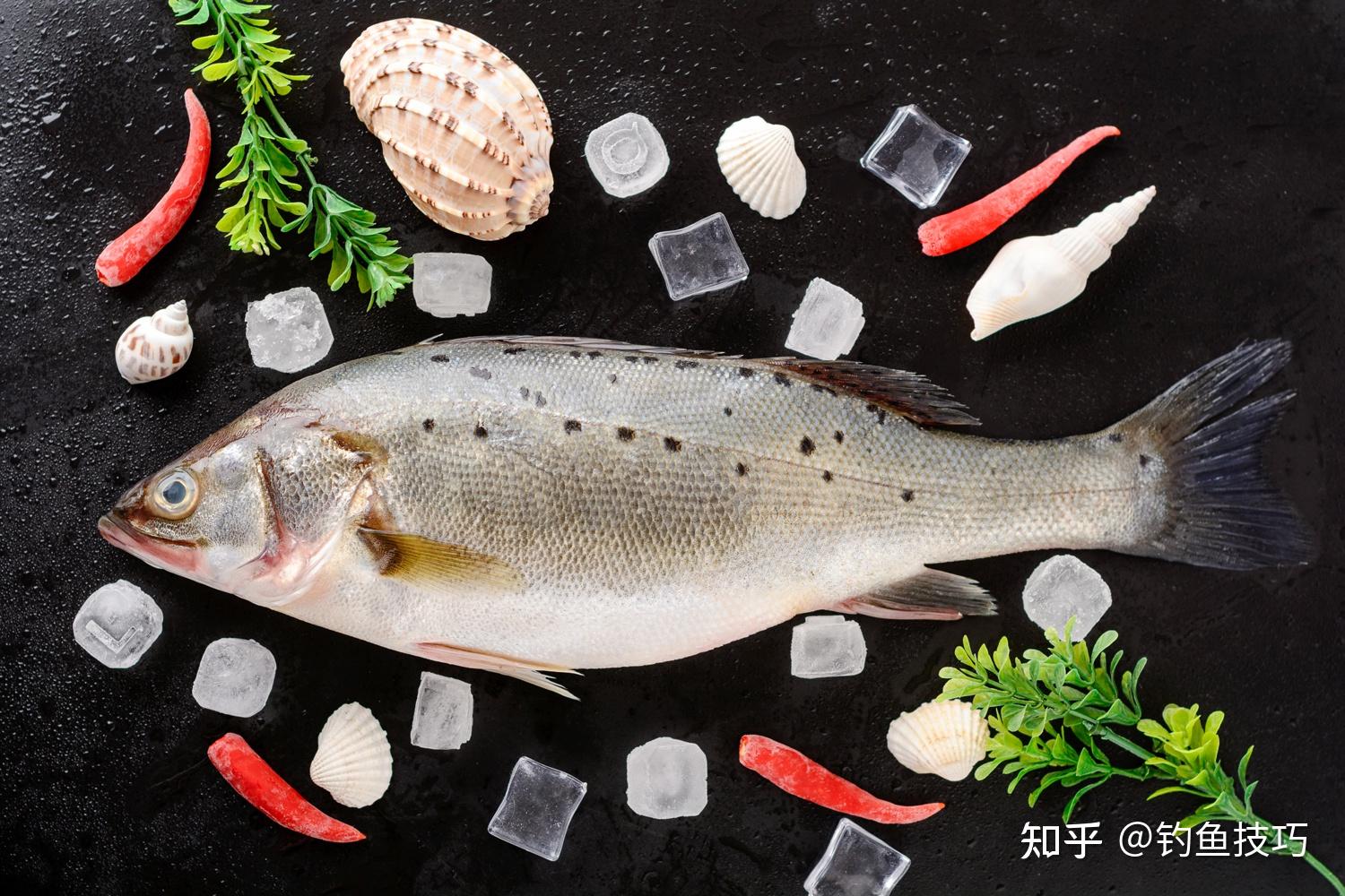 桂鱼怎么做好吃,鲈鱼和桂鱼的区别,红桂鱼_大山谷图库