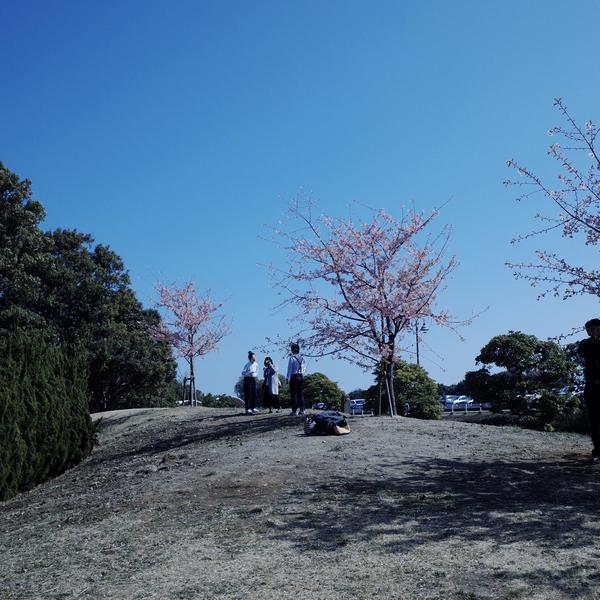 東京佛系生活指南 知乎