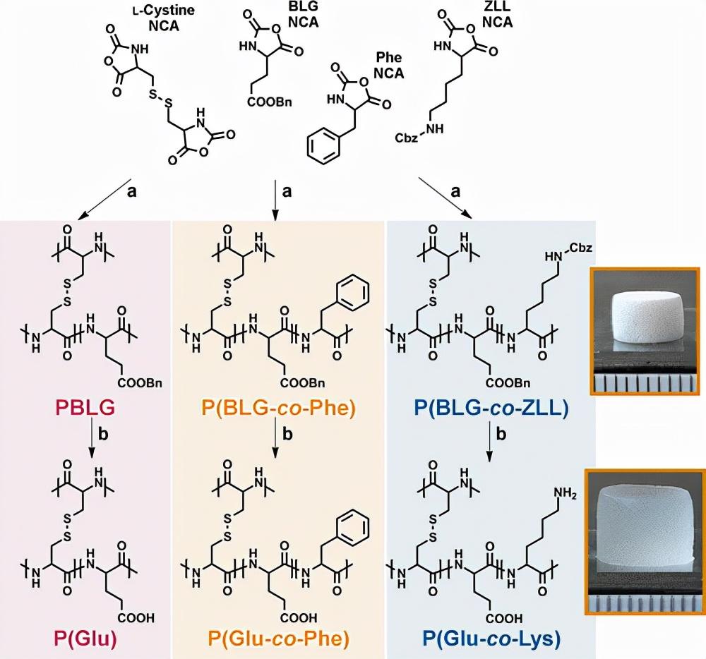 大分子具有刺激响应行为的合成多肽polyhipe水凝胶的制备