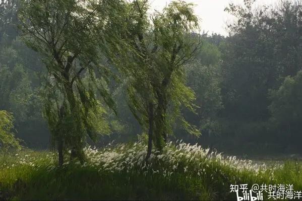 28大过卦本义详解 |大超常情之祸的智慧告诫 - 知乎