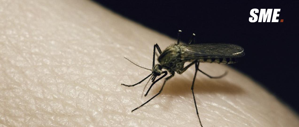 蚊子已经很可怕了 而这些吸血昆虫能让你感受真正的恐惧 知乎