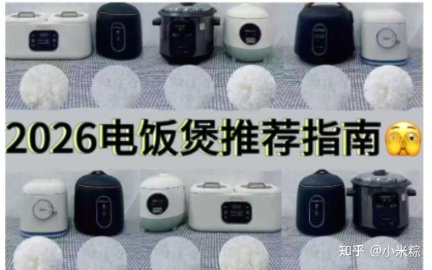 2026了你还不会选电饭煲吗？