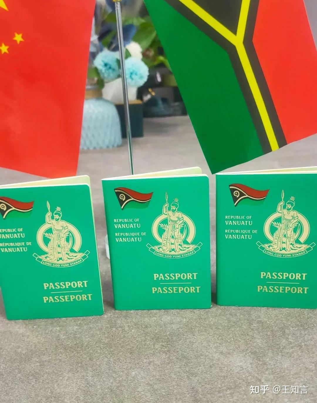 费用45-50w奥地利一家4代人同时获得永居绿卡,欧盟 申根 欧元区 英