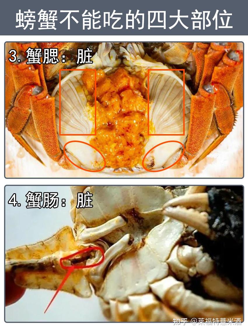 寒性体质女孩子如何吃螃蟹?