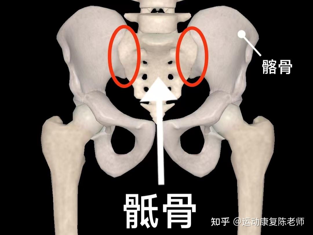 骶角图片图片