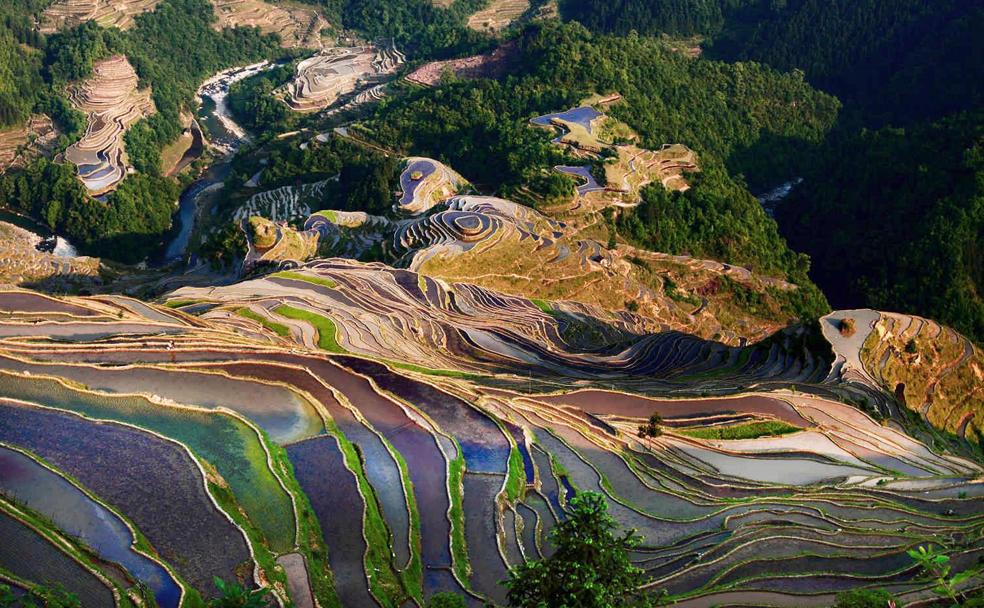 生态乡村聚落景观的地景艺术美学与文化旅游产业研究Artistic&Cultural