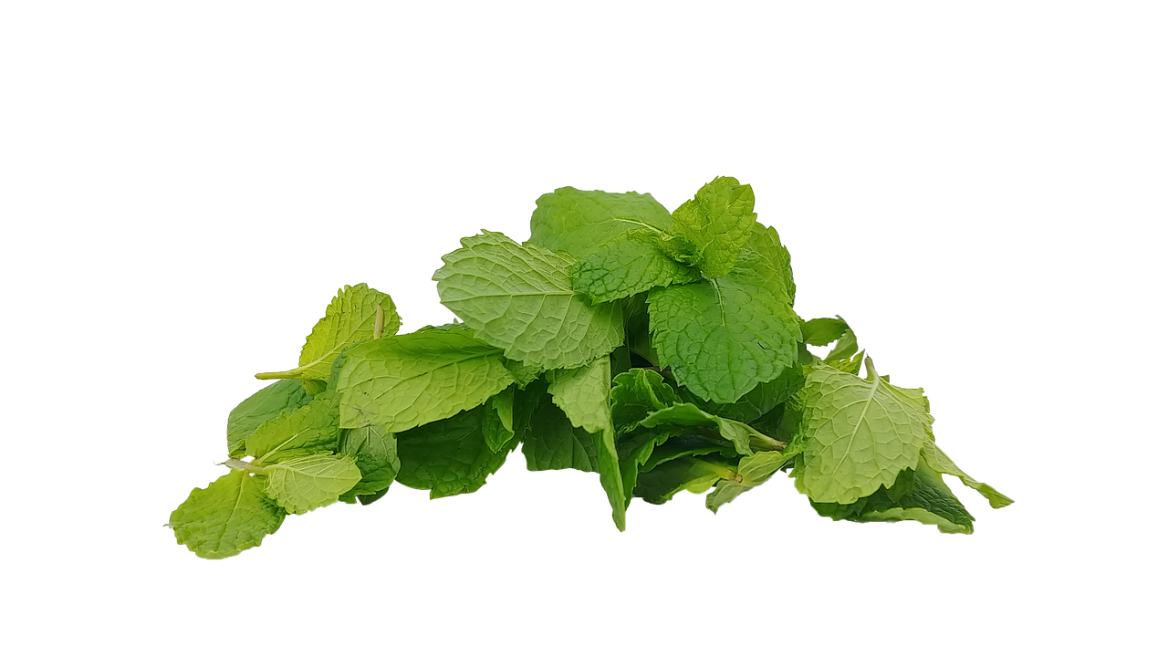 2. 好康户型亮点