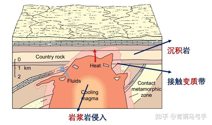 发生接触变质作用 