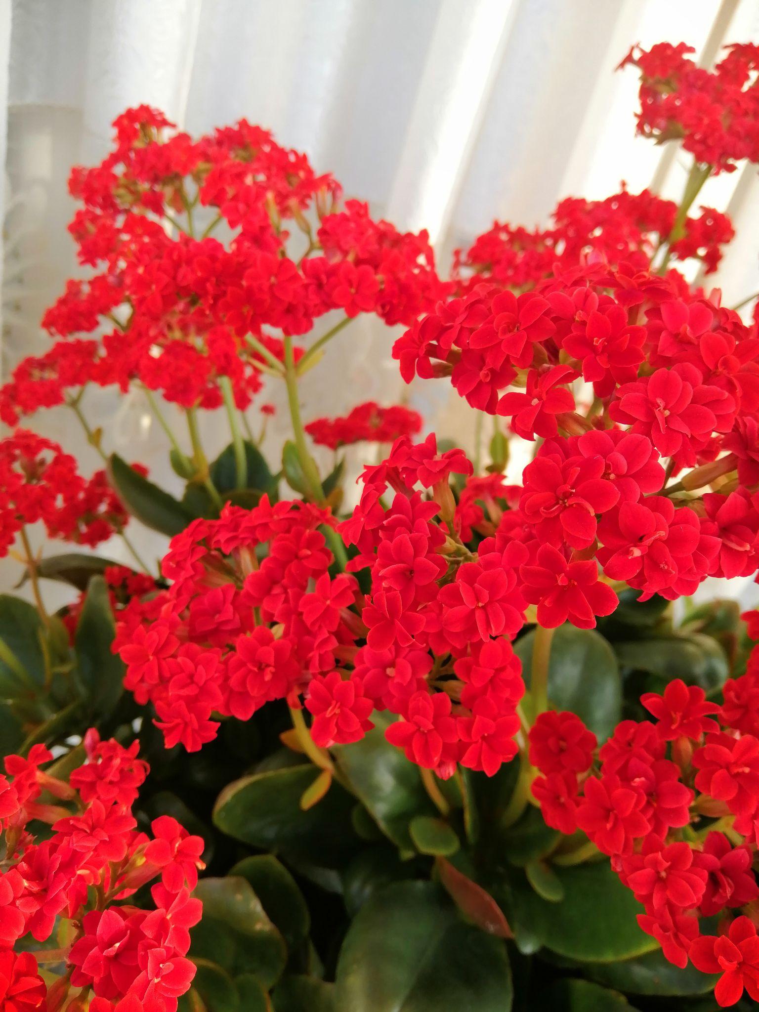 哪些图片是可以让60后父母满意的微信头像? - 知乎