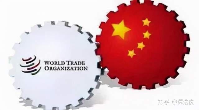 加入世贸组织20年,中国与经济全球化结伴快行
