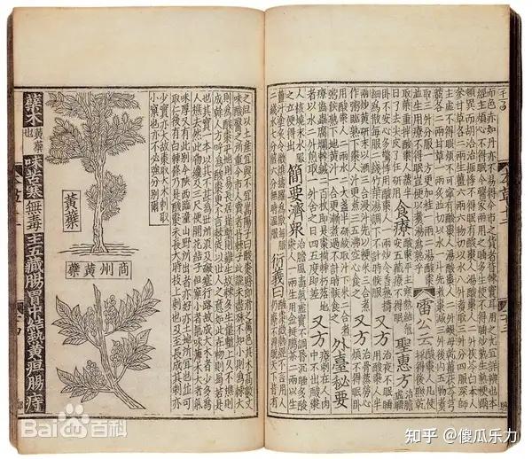 古代经常闹饥荒,他们不会去打猎挖野菜吗? - 知乎