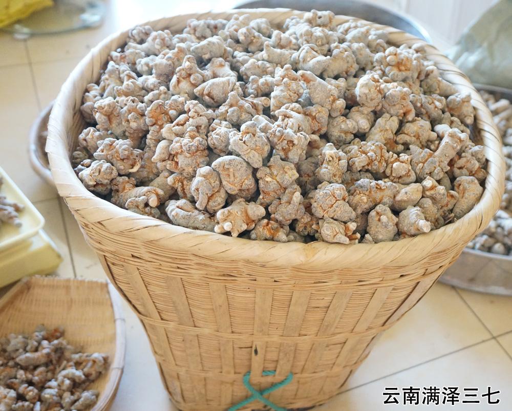 为什么叫三七粉 v2-919d6659e8f3c1d0215b3ffd064de42c_r.jpg